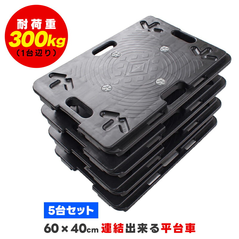 tan597_5dai-1.jpg