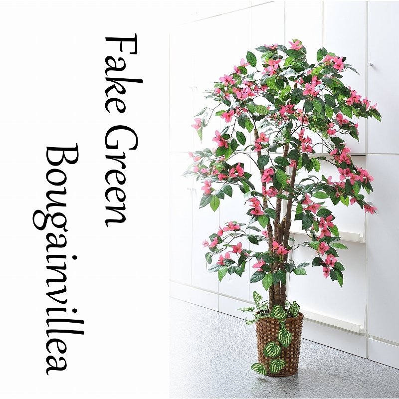 Amazon.co.jp: ＠フェイクグリーン 人工観葉植物 ベンジャミン