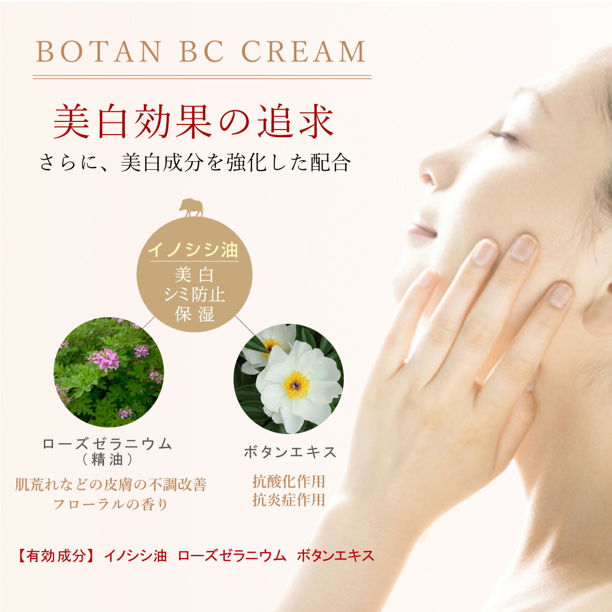 楽天市場 自然派 美白化粧品 Bayula バユラ Botan Cream ボタンベーシッククリーム 30ml ぼたん油より深く早い浸透力 保湿クリーム 美白 保湿 シミ そばかす対策 動物油脂専門店tadakane