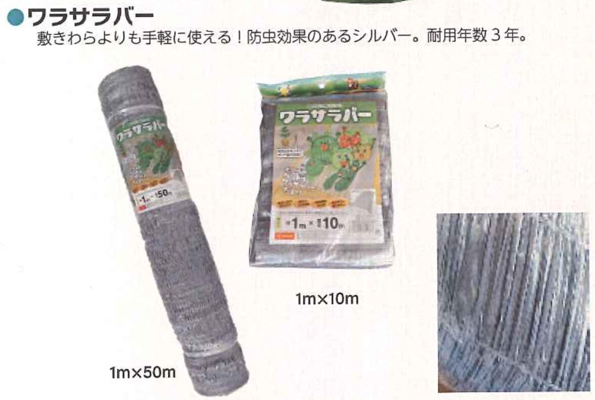 シンセイ 1ｍ×50ｍ 園芸ネット ワラサラバー 2 4582193311805【121-874】
