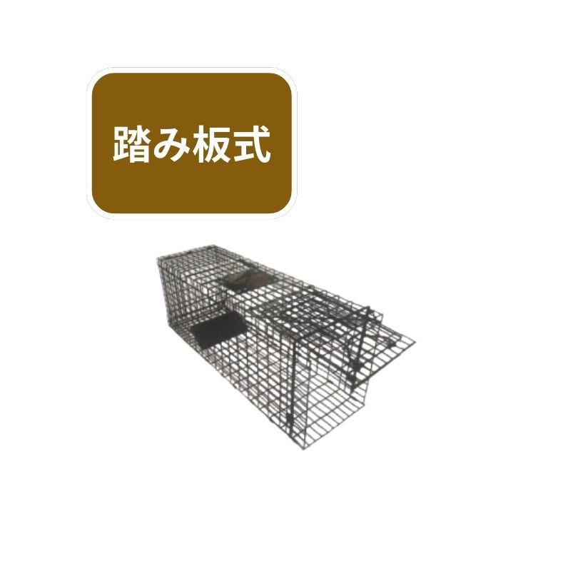 アニマルトラップ シンセイ 踏み板式 動物捕獲 害獣駆除 ネズミ取り ネズミ捕り罠 仕掛け しかけ 撃退 駆除 害虫 4571191198655【121-977】