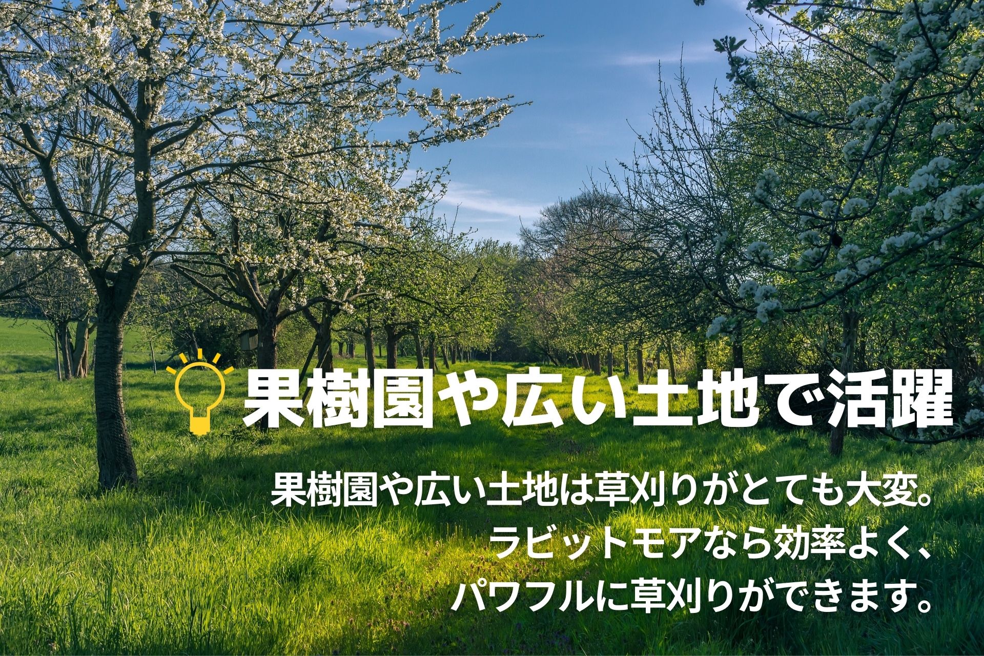 乗用草刈り機広い土地や野芝の草刈りに大活躍!乗っているだけで楽々草刈りオーレックRM983ターフタイヤ仕様
