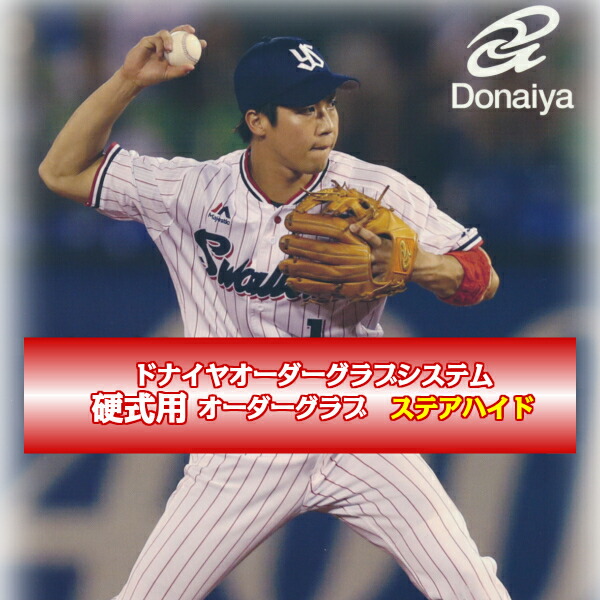 楽天市場】【ドナイヤ】【DONAIYA】硬式オーダー グラブ【キップレザー】 (オーダー商品のため代引き不可) : タグチスポーツ