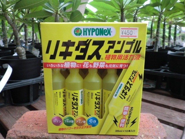 楽天市場 ハイポネックス リキダス アンプル35ml 10本入り 植物を丈夫にする活力液 活性肥料 熱帯植物 観葉植物 植物との同梱可能 Tahiti Marche ータヒチマルシェー