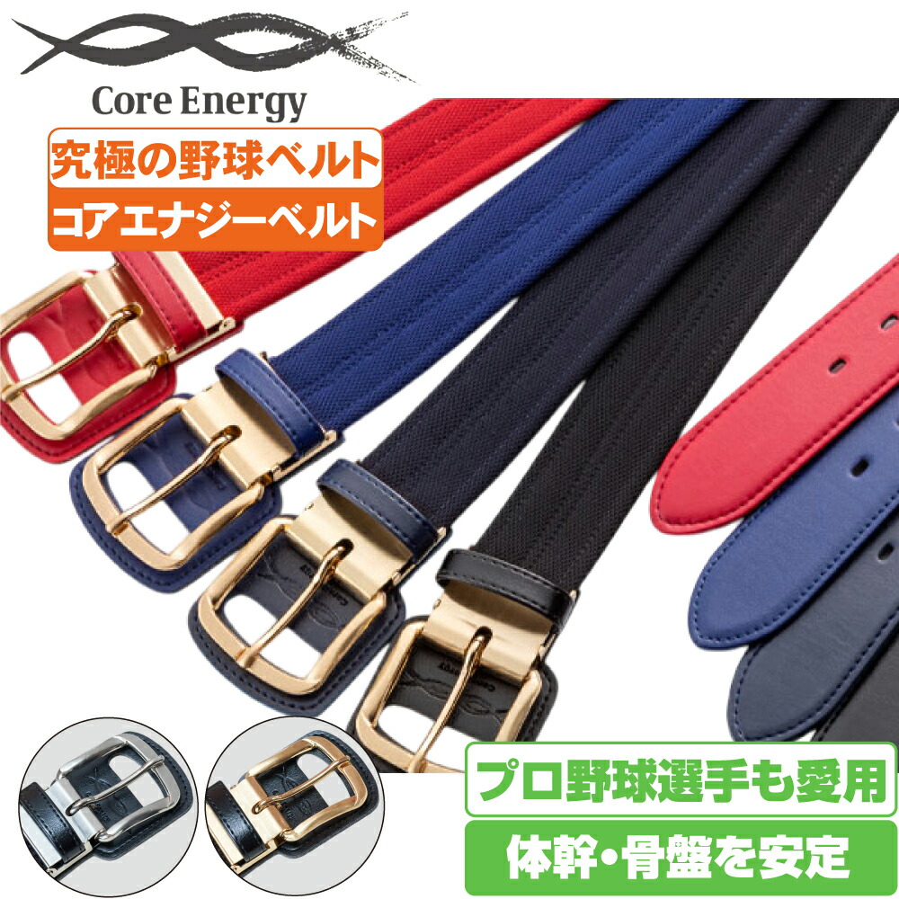 楽天市場】【即日発送可】＜メール便対応＞コアエナジー3 交換用