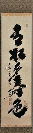 茶道具　掛軸　一行書「青松多寿色」（せいしょう　じゅしょく　おおし）大徳寺　黄梅院　小林太玄師 直筆、桐共箱　新品。茶掛け、禅語。｜佐藤大観堂