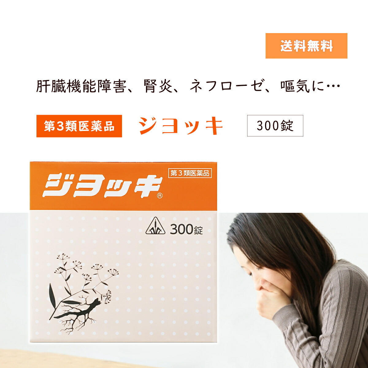 市場 第3類医薬品 肝臓機能障害 ジヨッキ 300錠 剤盛堂薬品 ホノミ漢方