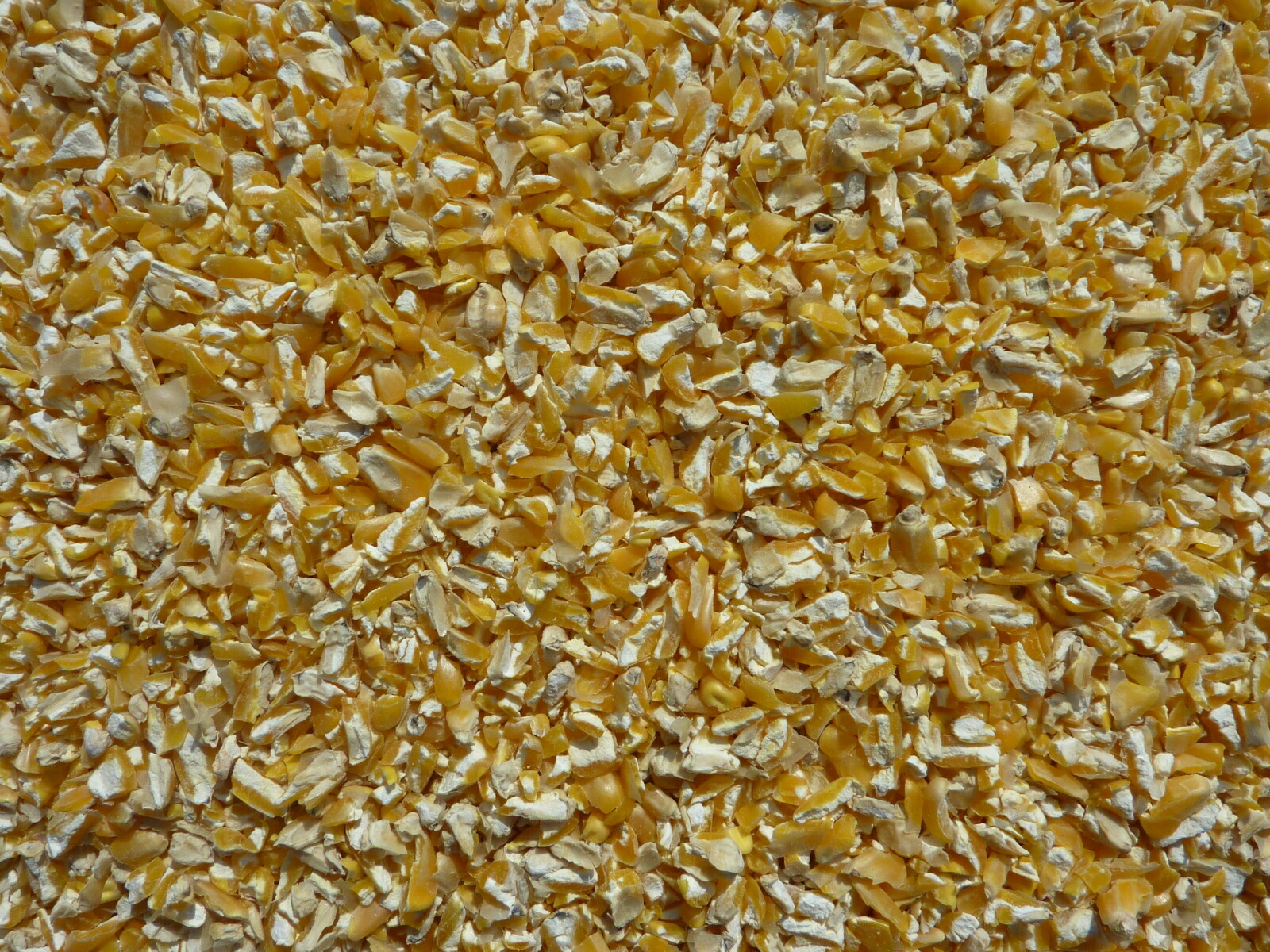 むらさき】特注餌20kg むらさき】特注餌20kg 201864-1.jpg