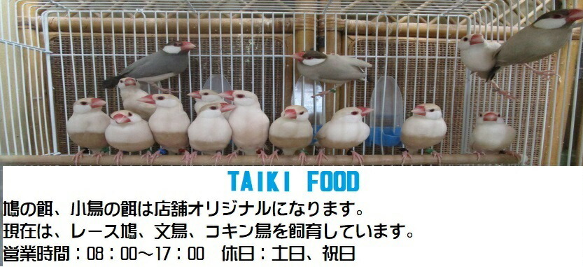 楽天市場】鳥 中型インコ ２５ｋｇ 中型インコフード 餌 ご飯 オカメインコ 中型インコ Ｂ：ＴＡＩＫＩＦＯＯＤ