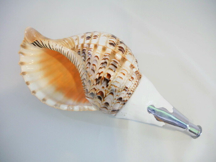 法螺貝 歌口付 サイズ38cm 40cm 真言タイプ 和楽器総合販売 Onikko 南中ソーラン 店ほらがい 和太鼓 ほら貝 締太鼓 ホラ貝 修験道