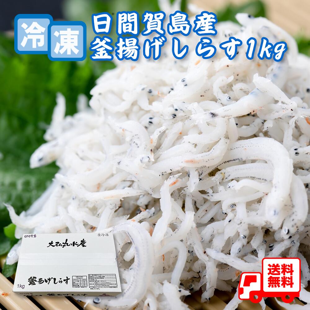 送料無料 冷凍釜揚げしらす1kg  産地直送  南知多 日間賀島 新鮮しらす ご飯のお供 冷凍しらす 保存方法 しらすレシピ しらす通販 人気 釜揚げしらすの食べ方 栄養満点のしらす 無添加しらす お取り寄せしらす