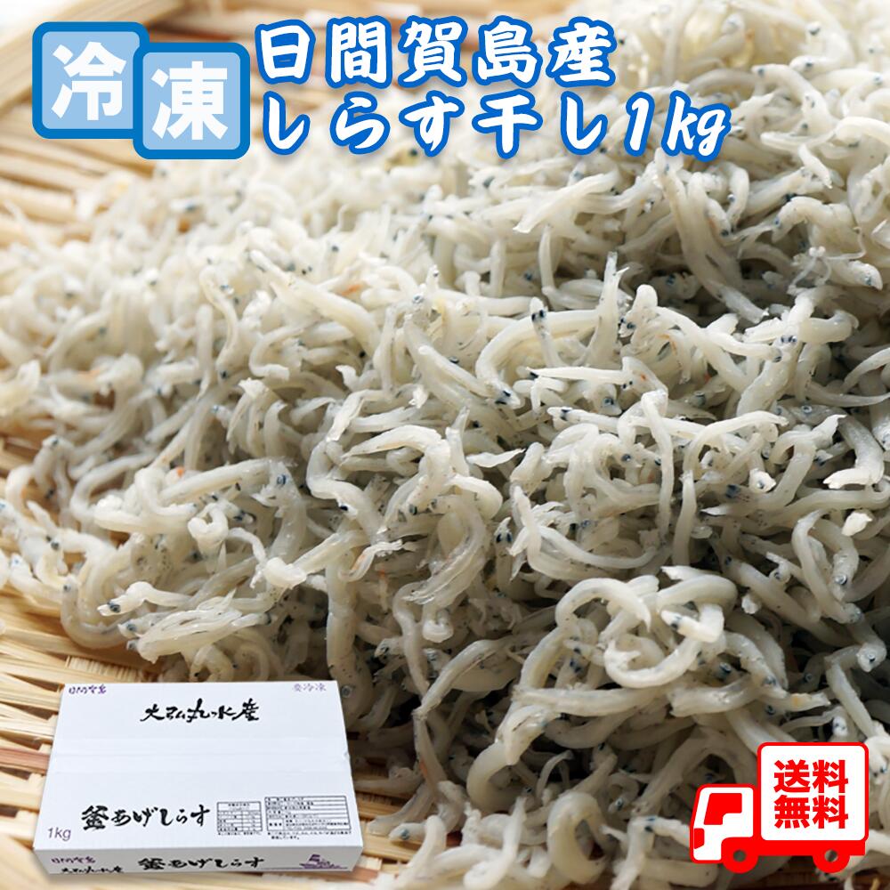 送料無料 冷凍しらす干し１kg  産地直送  南知多 日間賀島 新鮮しらす ご飯のお供 冷凍しらす 保存方法 しらすレシピ しらす通販 人気 釜揚げしらすの食べ方 栄養満点のしらす 無添加しらす お取り寄せしらす