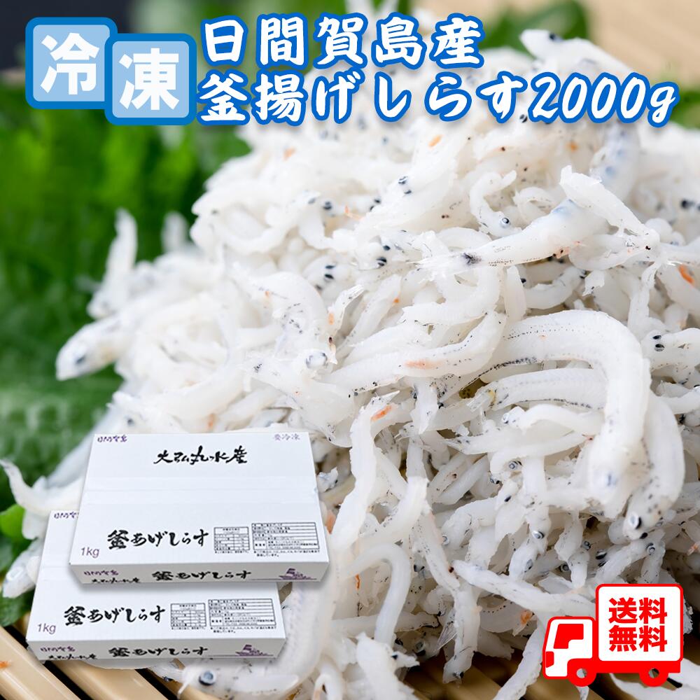 送料無料 冷凍釜揚げしらす2kg 産地直送 南知多 日間賀島 新鮮しらす ご飯のお供 冷凍しらす 保存方法 しらすレシピ しらす通販 人気 釜揚げしらすの食べ方 栄養満点のしらす 無添加しらす お取り寄せしらす