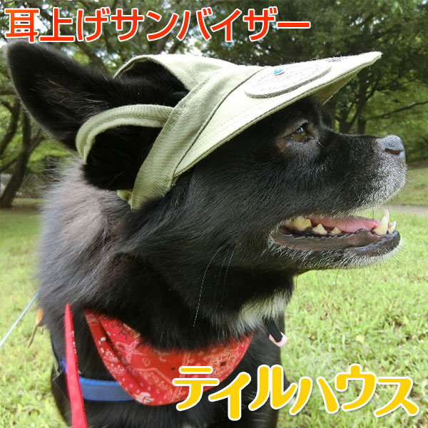 楽天市場 耳上げサンバイザー 中型犬用mサイズ たれ耳犬 スポーティー カジュアル かっこいい 紫外線対策 犬の健康 耳の病気 耳のケア 外耳炎 通気性 ジメジメ じめじめ ビーグル アメリカンコッカー 中型犬 Tailhouse テイルハウス