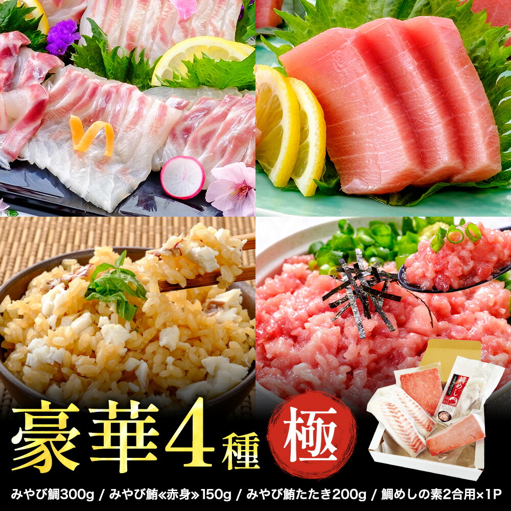 LINE限定 鯛 本鮪 「□極セット」計750g セット 刺身 タイ マグロ 鯛めしの素 小分け 食べきり 冷凍 魚介 海鮮 本マグロ 長崎県 養殖 熊本県産 たたき ネギトロ お刺身 さしみ 天草産 ご褒美 ギフト 贈り物