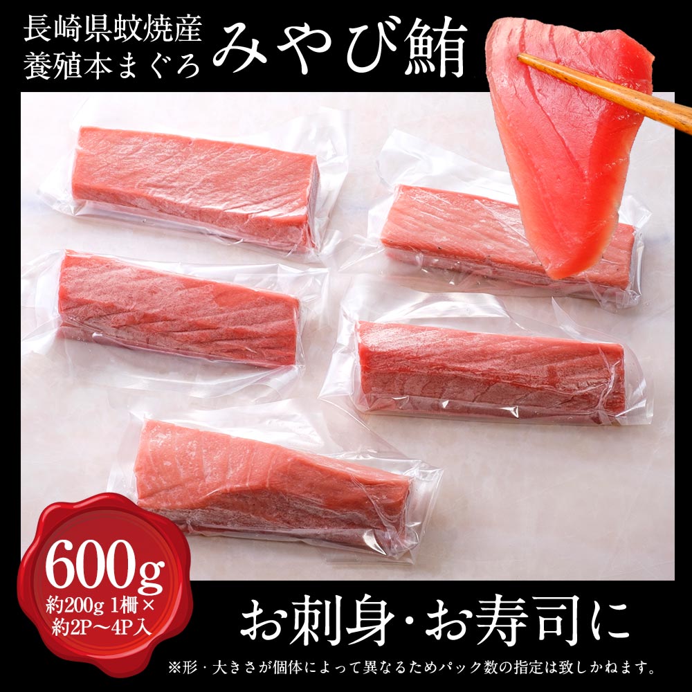 中トロ600 送料無料 鮪 本マグロ まぐろ 中とろ 本鮪 皮 刺身 中トロ 血合いなし 骨 600g 養殖ブランド鮪 柵 みやび鮪 トロ