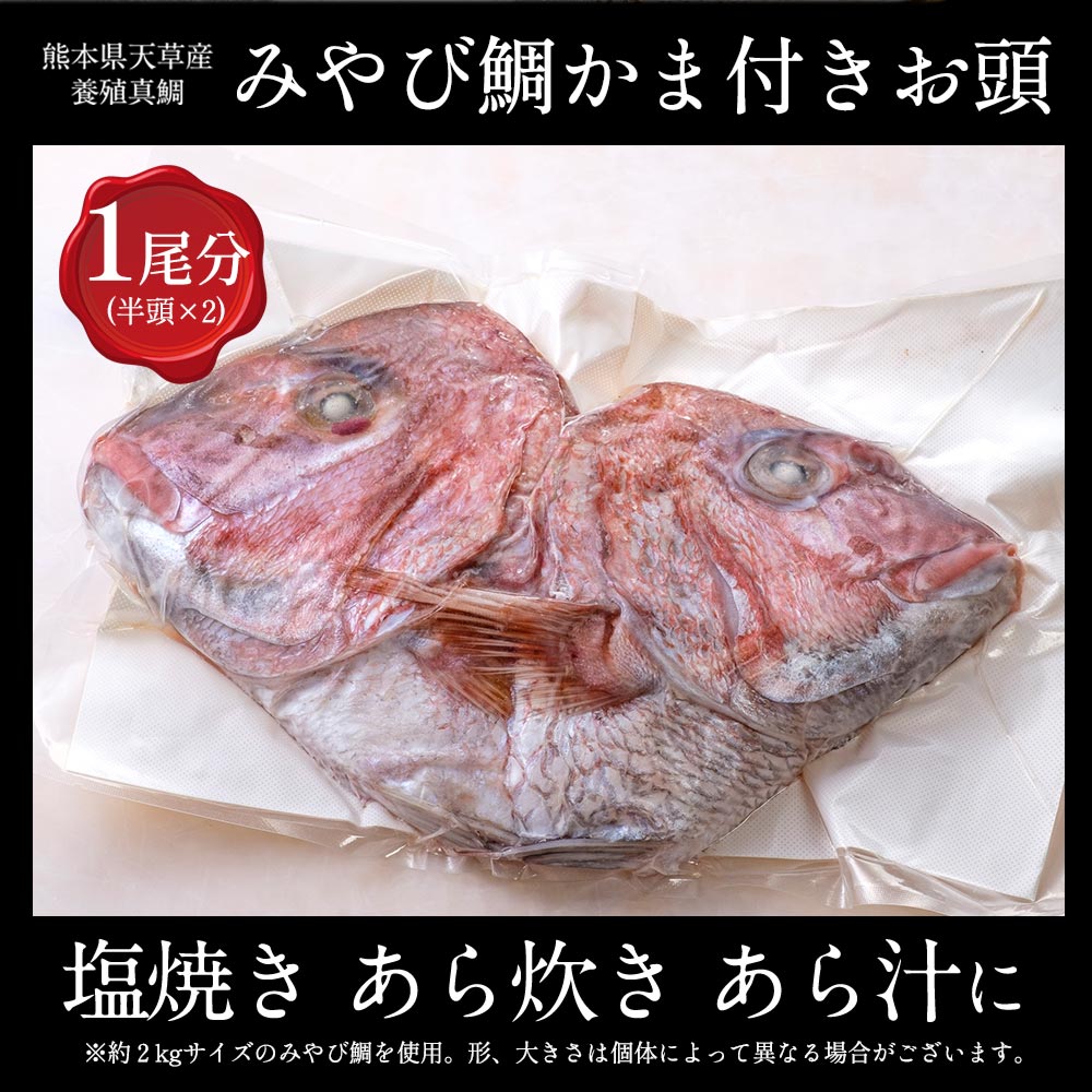 鯛カマ付き頭 鯛かま 一尾分 半頭 2 鯛のカマ付きお頭 あら汁に 鯛カマ 500g あら炊き 塩焼き