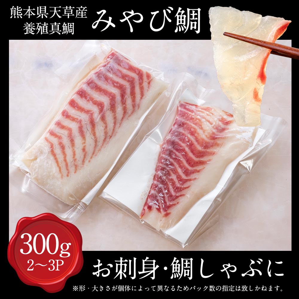 送料無料 鯛 刺身 冷凍柵 ラッピング不可 300g みやび鯛 カルパッチョしゃぶしゃぶにお勧め アメリカへの輸出シェアno 1 鯛300 熊本県天草産養殖真鯛