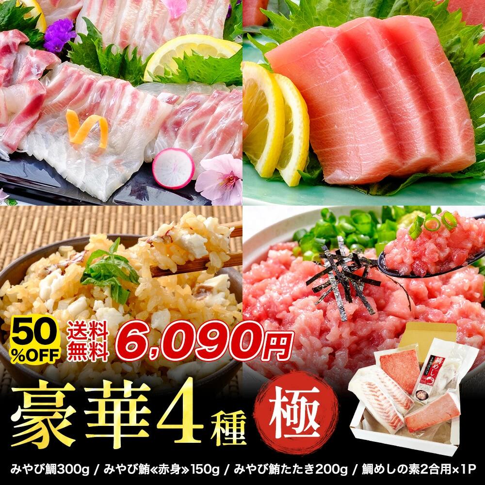 【半額クーポン★4日20:00～10日01:59】鯛 本鮪 「極セット」計750g セット 刺身 タイ マグロ 鯛めしの素 小分け 食べきり 冷凍 魚介 海鮮 本マグロ 長崎県 養殖 熊本県産 たたき ネギトロ お刺身 さしみ ご褒美 ギフト 天草産 贈り物
