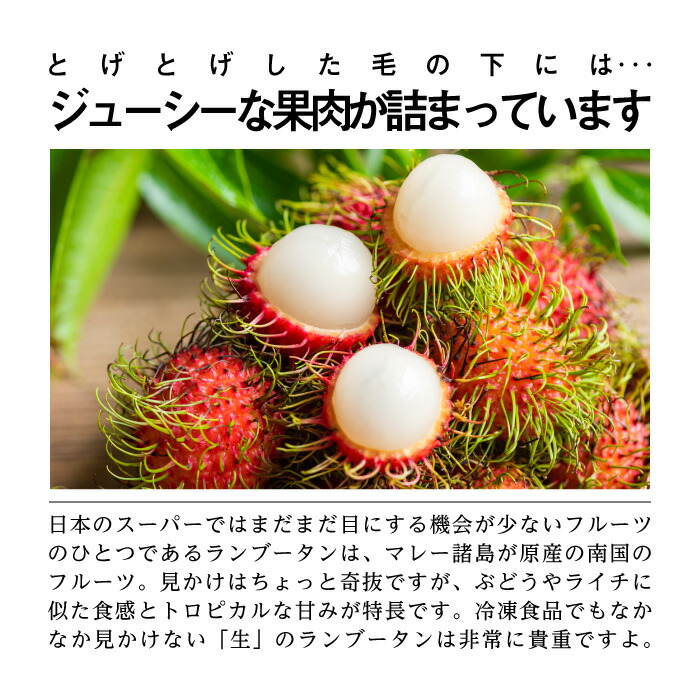 送料無料 身元 ランブータン 6 5kg メキシコ合衆国出産 フルーツ 清新 捧呈 フルーツ御持たせ ギフト Geo2 Co Uk