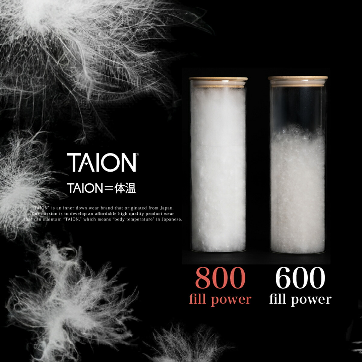 公式】TAION（タイオン）ベーシック Vネック ロングダウンベスト