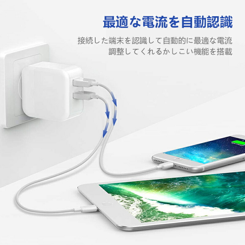 メーカー公式 充電器 2ポート USB コンセント acアダプター PSE認証 スマートIC AC充電器 iphone充電 急速充電器 スマホ充電器  新生活 送料無料 www.rmb.com.ar