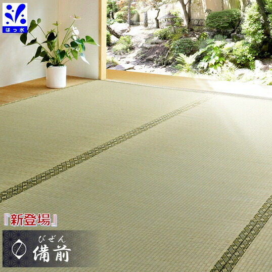 い草 ござ はっ水 撥水 防菌類 10畳 十畳 日本の首都間 イ草 上敷き い草１００％ 双目織り 和室 たたみ 汚れた状態に揺るぎない 夏 畳み お似つかわしい【備前 10帖 352×440珊】