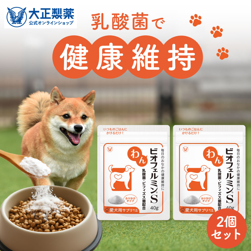 楽天市場】【大容量サイズ】犬 乳酸菌 わんビオフェルミンS