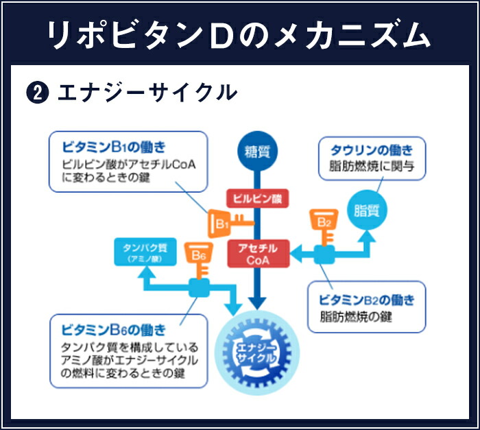 リポビタンD感謝箱100mL×10本指定医薬部外品大正製薬栄養ドリンク栄養剤お中元ありがとうリポビタン