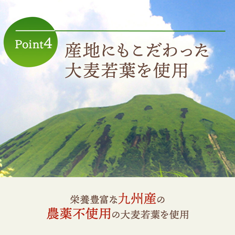 品質のいい 大正製薬 青汁 乳酸菌青汁 3g×30袋 6箱 乳酸菌 腸活 腸内環境 乳酸菌200億個配合 ビオフェルミンの乳酸菌 健康食品  栄養補助食品 大麦若葉 腸内環境改善 国産 九州産 あおじる ビフィズス菌 健康飲料 プレゼント 健康ギフト fucoa.cl