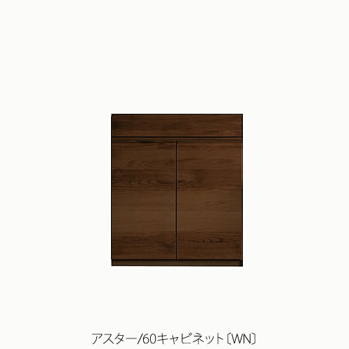 単一のもの調度品 アスター 60押し入れ〔WN〕【納める/リビング/臥し所/書房/組みあわせ/自然的/高野大工仕事】