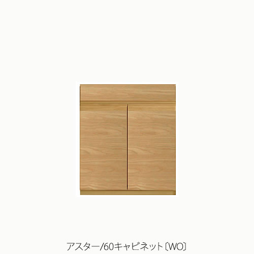 単一のもの調度品 アスター 60押し入れ〔WO〕【納める/リビング/臥し所/書房/組みあわせ/自然的/高野大工仕事】