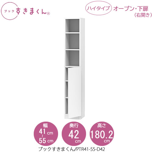 書き付けすきまくん BSD PTR41-55/D42 リビング 書室 書物棚 壁面納める 組み合わせ