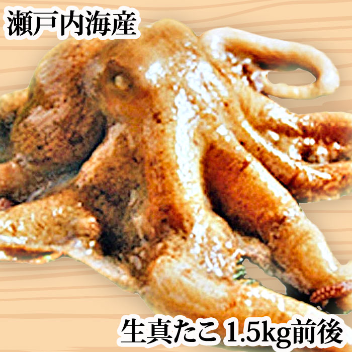 『生真たこ 1.5kg前後 広島県もしくは瀬戸内海産』※ボイルの仕方のレシピ付き！(タコ 生 たこ 蛸 刺身 タコ刺し たこしゃぶ タコしゃぶ 半夏生)
