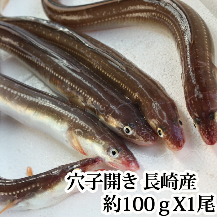 楽天市場】生うなぎ 活き締め 1尾約300g（ 愛知県もしくは台湾産 養殖 ）骨、肝、タレ付き バーベキューにも ( 鰻 ウナギ ) :  瀬戸内たいたいＣＬＵＢ