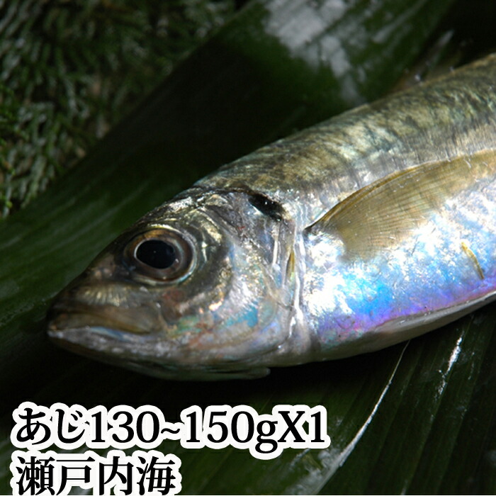 楽天市場 アジ 瀬戸内海産 mサイズ 200 250g 鯵 あじ 刺身 瀬戸内たいたいclub 楽天市場 アジ 瀬戸内海産 mサイズ 200 250g 鯵 あじ 刺身 瀬戸内たいたいclub