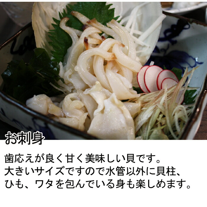 楽天市場 ミル貝 活き 愛知県産または岡山 香川県産300ｇの みる貝 本ミル貝 刺身 生 瀬戸内たいたいｃｌｕｂ