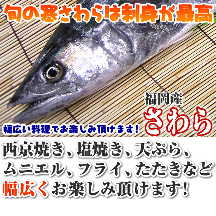 楽天市場 鰆 3ｋｇの半身 福岡県の入荷がなければ 高知県 瀬戸内海 のいずれか お 刺身 たたき は格別です 寒鰆 かんざわら さわら サワラ 瀬戸内たいたいｃｌｕｂ