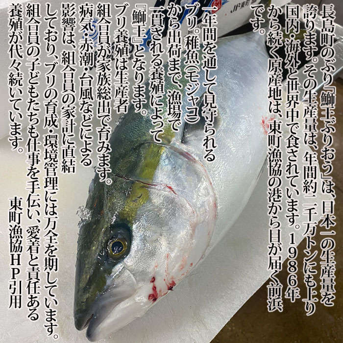 ぶり 約5kgの4分の1 養殖 鹿児島産もしくは瀬戸内産