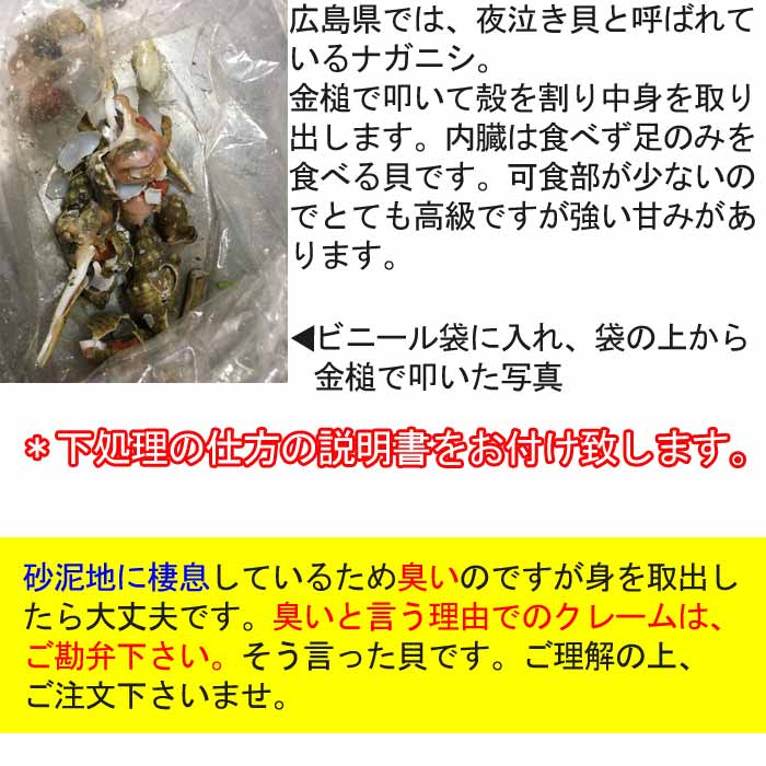楽天市場 よなき貝 500g 夜泣き ヨナキ 貝 広島 でしか食べる習慣がない貝 高級 瀬戸内たいたいｃｌｕｂ