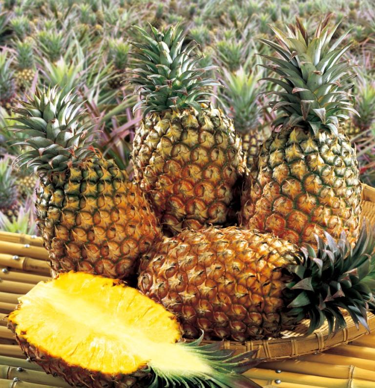 楽天市場】パイナップル 台湾産 約10kg（6-9玉） : 台湾物産館