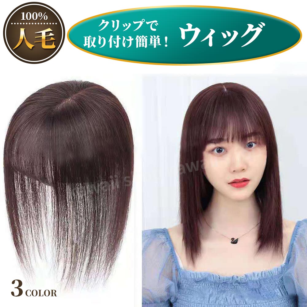 楽天市場】前髪ウィッグ 部分ウィッグ シースルーバング ワンタッチ 前髪ウイッグ ウイッグ ヘアピース 髪の毛 かつら 薄毛 まえがみ 前髪 取り付け  簡単 脱着 シースルー 韓国 触角あり サイドあり 自然 ナチュラル ブラック ブラウン 変装 切りすぎ イメチェン イメージ ...