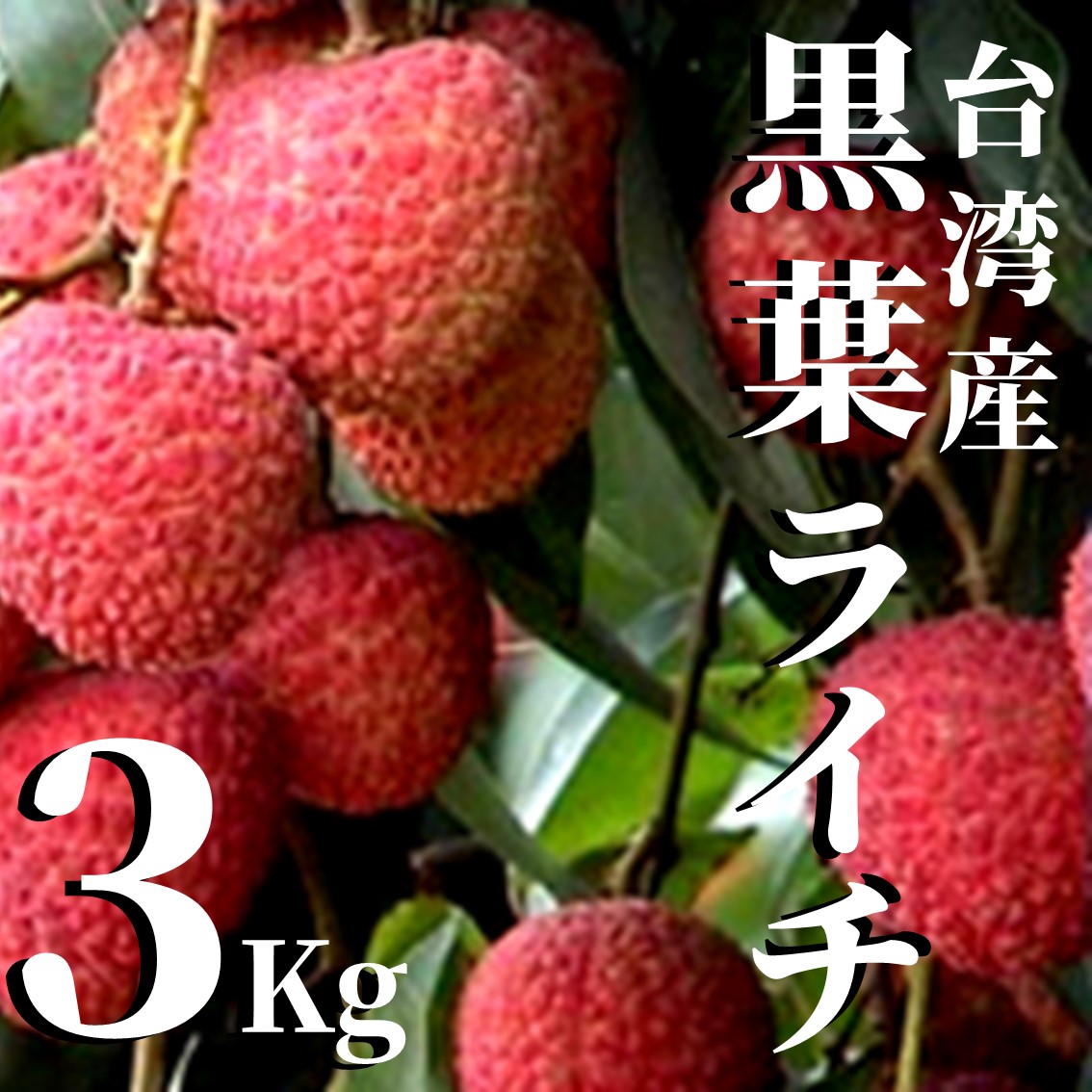 【予約】 送料無料 台湾産最高級 黒葉ライチ（L玉）3kg箱！ 冷凍じゃないフレッシュなライチ体験！