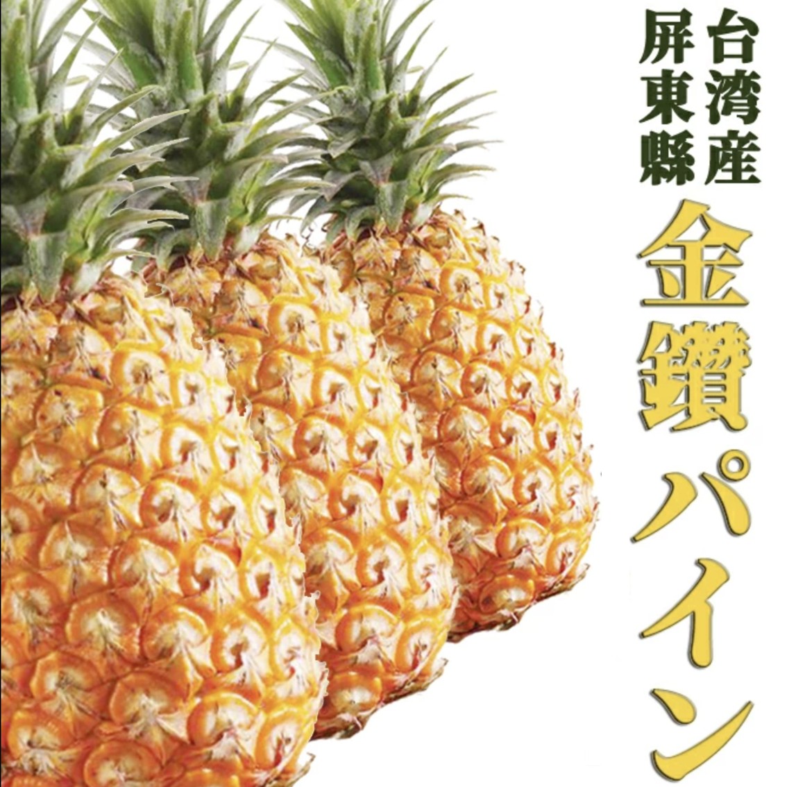 ●ランキング1位獲得！ 【予約】 ●送料無料 ギフト専用自社輸入 台湾産 幸せの完熟 パイナップル 金鑽パイン 【 ギフト 17号鳳梨 金鑚鳳梨 甘い 金鑽パイナップル 酵素が活きている