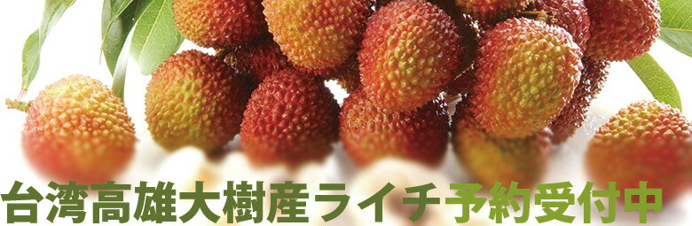 楽天市場】＜送料無料＞楽天市場ランキング1位獲得！菅田将暉さん表紙