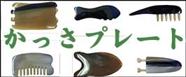 楽天市場】【ラスト1冊】○楽天ランキング1位獲得！＜送料無料＞【全身