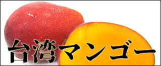 楽天市場】【ラスト1冊】○楽天ランキング1位獲得！＜送料無料＞【全身