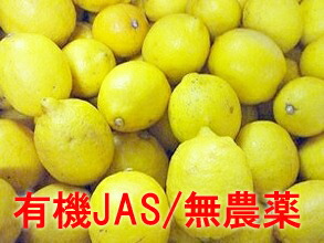 【★産地直送/★常温便送料無料/★単品配送】<BR>（国産・有機JAS）<br>自然農法レモン　約10ｋｇ<br>※サイズ混合<BR>※無農薬栽培のため、シミ斑点など多い場合がありますがご了承ください。