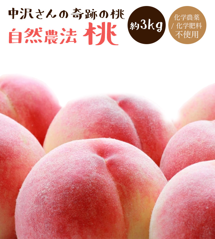 採れたて 若桃 でかい あかつき 摘果桃 10kg 2dd6c15647dd85cd52e41b275f3d3f