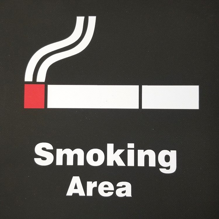 楽天市場 ポイント10倍 喫煙所 アートパネル キャンバスアート22 喫煙可能マーク ポスター インテリア 雑貨 ファブリックパネル サインボード サインプレート 標識 たばこ 煙草 禁煙 絵画 イラスト ピクトグラム 絵記号 絵文字 壁掛け おしゃれ かわいい 約cm